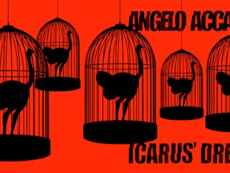 Catalogo Icarus' Dream di Angelo Accardi, Ode Editore 2024, Copertina
