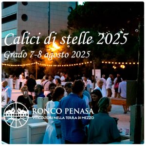 Calici di Stelle, evento Ronco Penasa a Gorizia