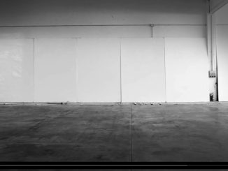 Paolo Loschi Re-Generation, di Luigi Zoppelli